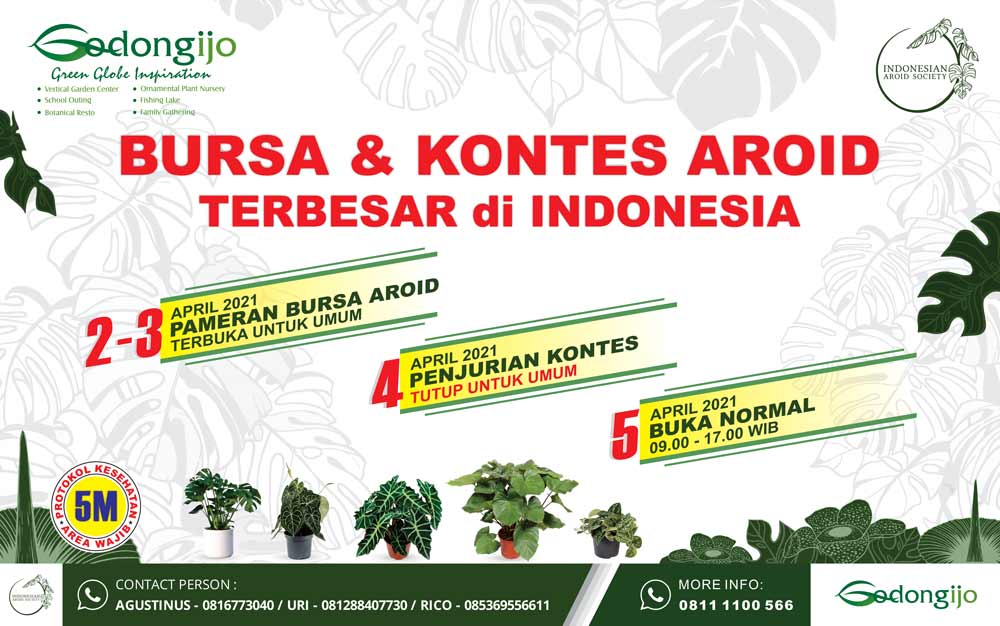 Bursa dan Kontes Aroid Terbesar di Indonesia