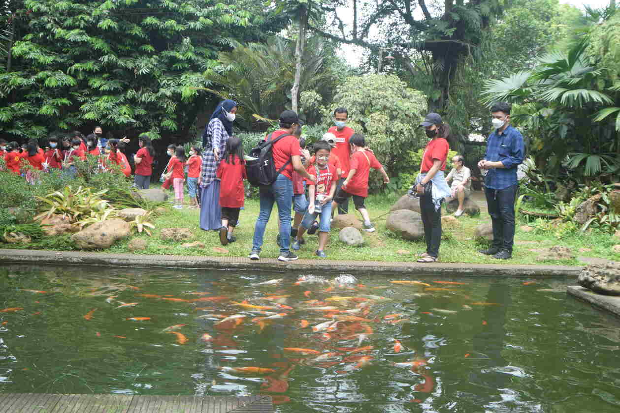 Memberi Makan Ikan